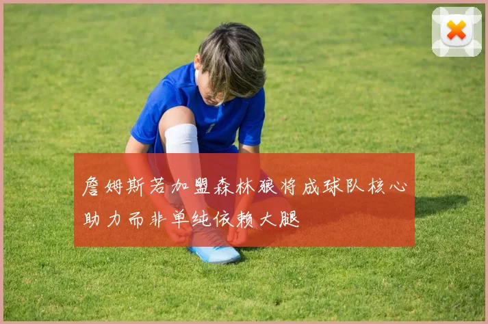 詹姆斯若加盟森林狼将成球队核心助力而非单纯依赖大腿
